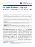 Báo cáo hóa học: 