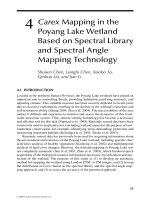 WETLAND AND WATER RESOURCE MODELING AND ASSESSMENT: A Watershed Perspective - Chapter 4 pot