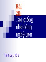 Sinh học 12 Bài 20. Tạo giống bằng công nghê gen