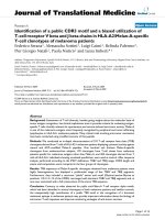 báo cáo hóa học: