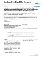 báo cáo hóa học: 