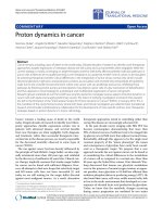 Báo cáo hóa học: 