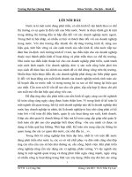 bao cao kien tap hai docx