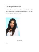 Cho bồng bềnh mái tóc doc