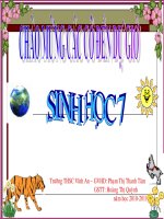 Bài giảng điện tử môn sinh học: bộ gặm nhấm, ăn sâu bọ potx
