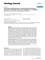 Báo cáo sinh học: 