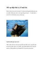 101 sự thật thú vị về mái tóc potx