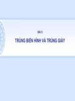 Bài giảng điện tử môn sinh học: trùng giày potx