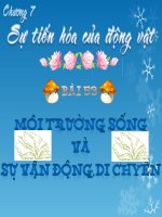 Bài giảng điện tử môn sinh học: môi trường sống và vận động docx