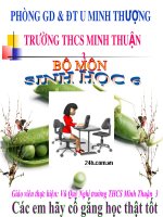 Bài giảng điện tử môn sinh học: Sinh sản ở thông docx