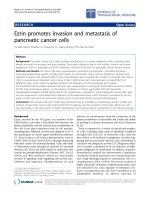 Báo cáo hóa học: 