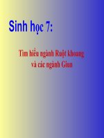 Giáo án điện tử môn môn sinh học: ruột khoang và giun pot