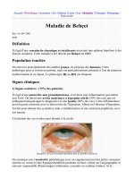 Maladies oculaires - part 2 pptx