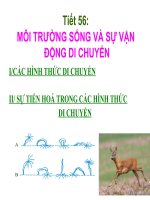Giáo án điện tử môn môn sinh học: các hình thức di chuyển docx