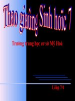 Giáo án điện tử môn môn sinh học: Bộ móng guốc pptx