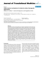 báo cáo hóa học: