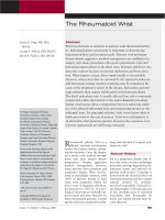 Các cổ tay khớp dạng thấp pdf