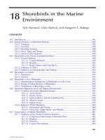 Biology of Marine Birds - Chapter 18 pptx