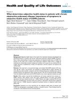 báo cáo hóa học: 