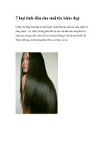 7 loại tinh dầu cho mái tóc khỏe đẹp pdf