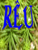 Bài giảng điện tử môn sinh học: ngành rêu potx