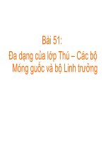 Bài giảng điện tử môn sinh học: bộ móng guốc và linh trưởng_3 pptx