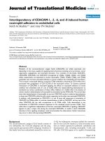 báo cáo hóa học: