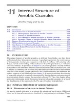 Wastewater Purification: Aerobic Granulation in Sequencing Batch Reactors - Chapter 11 ppt
