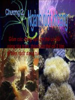 Giáo án điện tử môn môn sinh học: loài thủy tức_nghành ruột khoang pptx