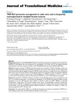 báo cáo hóa học: