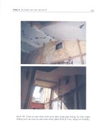 Chim yến và kỹ thuật nuôi lấy tổ part 5 pptx