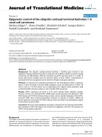 báo cáo hóa học: