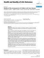 báo cáo hóa học: 