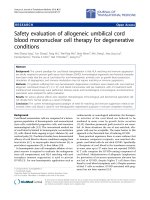 Báo cáo hóa học: 