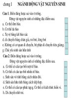 Bài giảng điện tử môn sinh học: nghành động vật nguyên sinh potx