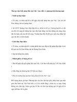 Thủ tục cấp Giấy phép liên vận Việt - Lào (đối với phương tiện thương mại) pdf