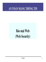 Bảo mật Web( Web security)