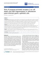 Báo cáo hóa học: 