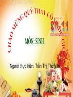 Giáo án điện tử môn môn sinh học: lớp cá doc