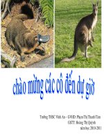 Bài giảng điện tử môn sinh học: đa dạng lớp thú pptx