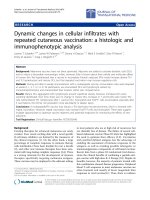 Báo cáo hóa học: 