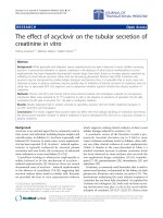 Báo cáo hóa học: 