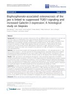 Báo cáo sinh học: 