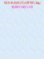 Giáo án điện tử môn môn sinh học: bộ cá voi và bộ dơi pdf