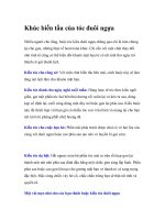 Khúc biến tấu của tóc đuôi ngựa docx