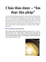 Cháo thảo dược – “ẩm thực liệu pháp” pptx