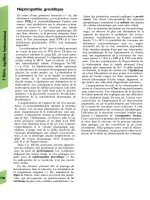 Atlas de poche de physiologie - part 4 docx