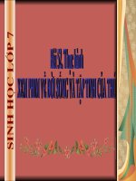 Giáo án điện tử môn môn sinh học: đời sống và tập tính của thú có túi pdf