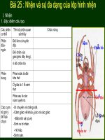 Giáo án điện tử môn môn sinh học: sự đa dạng của lớp nhện_1 pdf