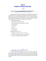 phần vi internet và world wide web